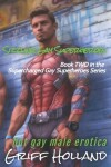 Book cover for Sizzling Gay Superheroes