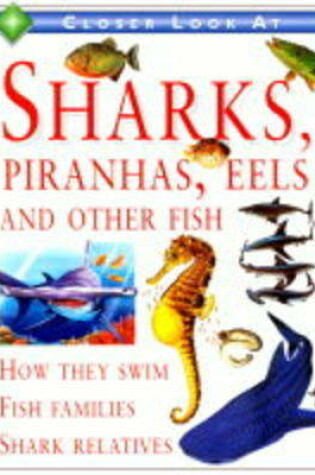 Cover of A Closer Look at Sharks, Piranhas, Eels and Other Fish