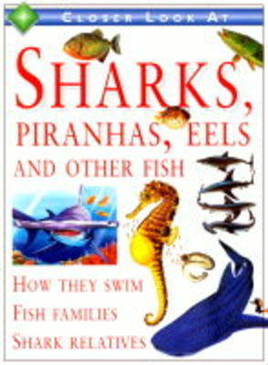 Book cover for A Closer Look at Sharks, Piranhas, Eels and Other Fish