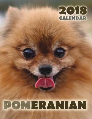 Book cover for Pomeranian 2018 Calendar (UK Edition)