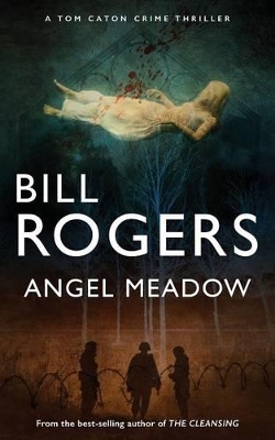 Book cover for Angel Meadow