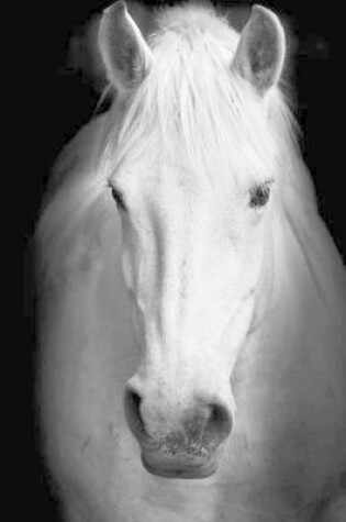 Cover of White Horse Portrait in Black & White Journal