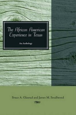 Cover of The African American Experience in Texas