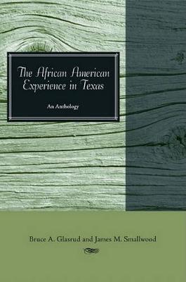 Book cover for The African American Experience in Texas