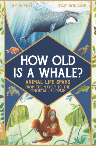 Cover of How Old Is a Whale?