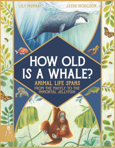 Book cover for How Old Is a Whale?