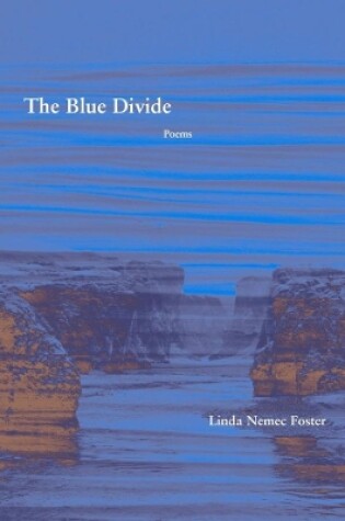 Cover of The Blue Divide – Poems