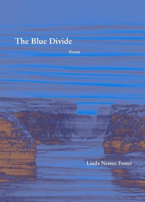 Book cover for The Blue Divide – Poems