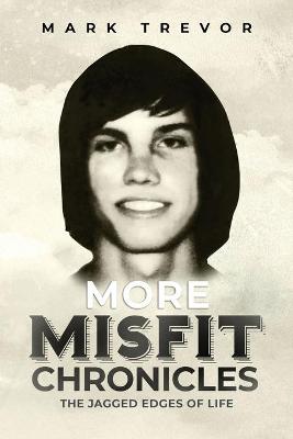 Book cover for More Misfit Chronicles