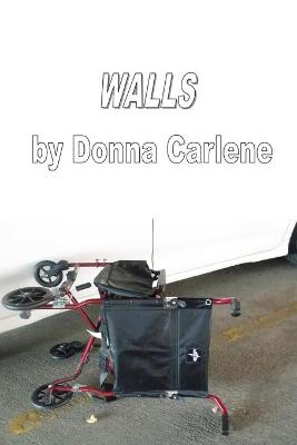 Book cover for Walls