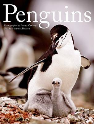 Cover of Penguins