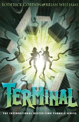 Book cover for Terminal