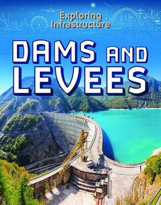 Book cover for Dams and Levees