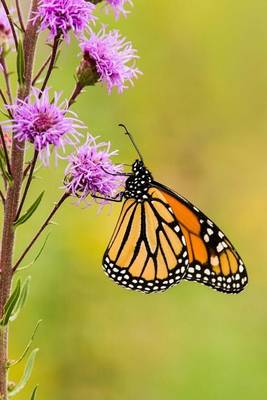 Book cover for Monarch Butterfly Journal