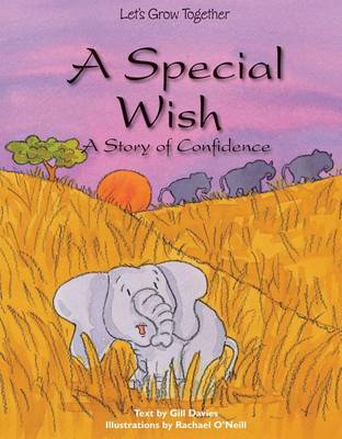 Book cover for A Special Wish