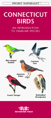 Book cover for Connecticut Birds