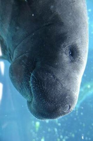 Cover of Close Up of a Florida Manatee, for the Love of Animals