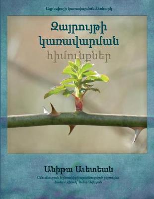 Book cover for Anger Management Essentials in Armenian