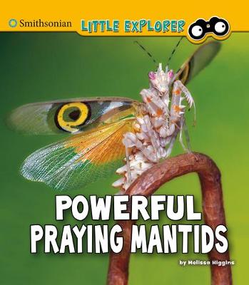 Book cover for Powerful Praying Mantids