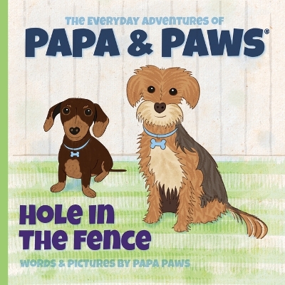 Cover of Hole in the Fence