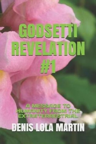 Cover of Godsetti Revelation #1