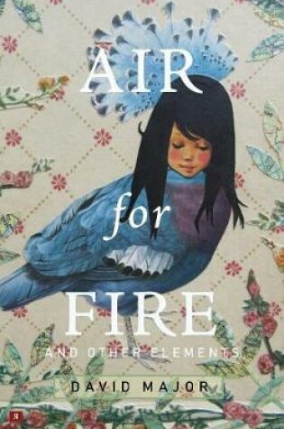 Cover of Air for Fire