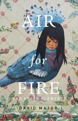 Book cover for Air for Fire