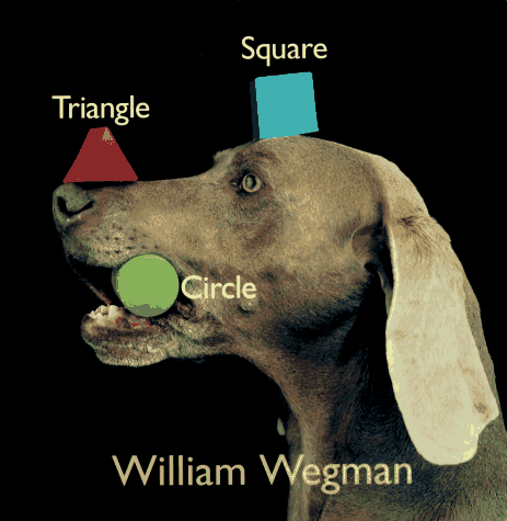 Book cover for Shapes: Triangle, Square, Circle