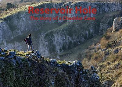 Book cover for Reservoir Hole