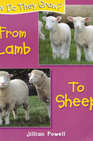 Cover of Lamb to Sheep