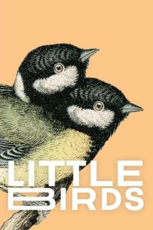 Cover of Little Birds