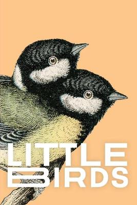 Book cover for Little Birds