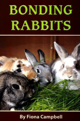 Cover of Bonding Rabbits