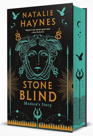Cover of Stone Blind