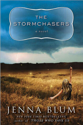 Cover of The Stormchasers