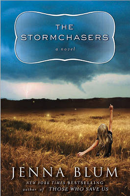 Book cover for The Stormchasers