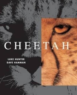 Book cover for Cheetah