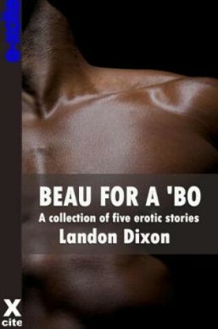 Cover of Beau For A Bo