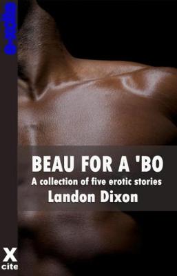 Book cover for Beau For A Bo