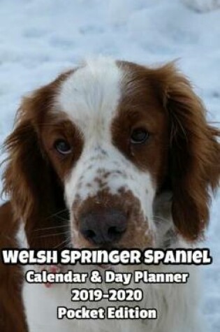 Cover of Welsh Springer Spaniel Calendar & Day Planner 2019-2020 Pocket Edition