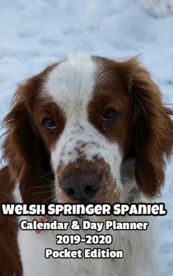 Book cover for Welsh Springer Spaniel Calendar & Day Planner 2019-2020 Pocket Edition