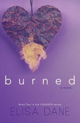 Book cover for Burned