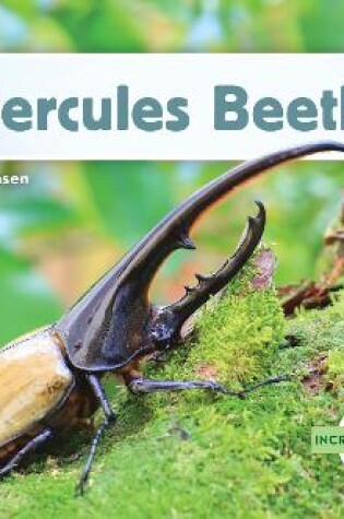 Cover of Incredible Insects: Hercules Beetle