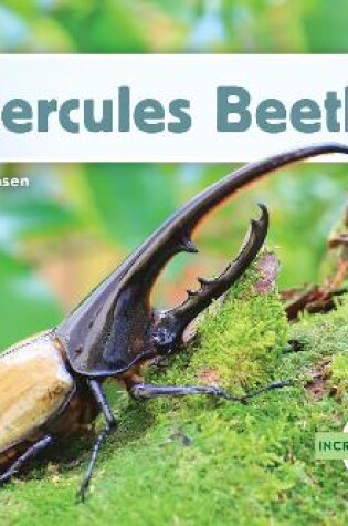 Cover of Hercules Beetle