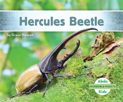 Book cover for Hercules Beetle