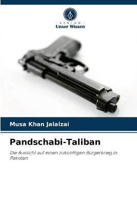 Book cover for Pandschabi-Taliban