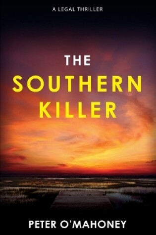 Cover of The Southern Killer