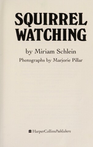 Book cover for Squirrel Watching