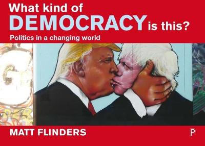 Book cover for What Kind of Democracy Is This?