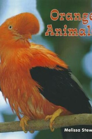 Cover of Orange Animals